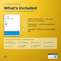 Everything DiSC® on Catalyst™ Base Experience – Image 3
