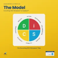 Everything DiSC® on Catalyst™ Practitioner Experience – Image 2