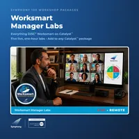 Everything DiSC® Worksmart Labs Workshop Package – Image 1