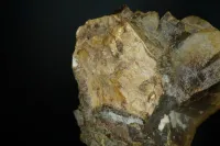 Dinosaur Bone in Septarian Nodule - Mount Carmel Junction, Utah – Image 8
