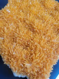 Selenite - Whyalla, Australia – Image 9