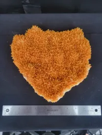 Selenite - Whyalla, Australia – Image 2