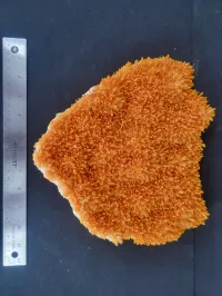 Selenite - Whyalla, Australia – Image 4