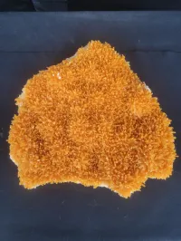 Selenite - Whyalla, Australia – Image 3