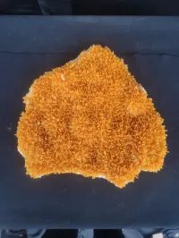Selenite - Whyalla, Australia – Image 1