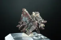 Copper ps. Azurite Rose - Copper Rose Mine, New Mexico – Image 3