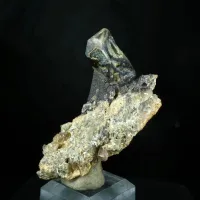 Smoky Amethyst Skeletal Fenster Quartz Scepter - Brandberg, Namibia – Image 3