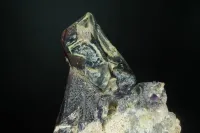 Smoky Amethyst Skeletal Fenster Quartz Scepter - Brandberg, Namibia – Image 5