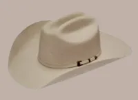 Dallas Twister 4" Brim | Silverbelly – Image 1