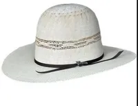 Twister Tan Bangora 3 1/2" Brim Shorty – Image 1