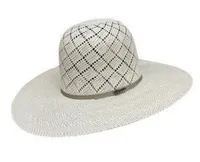 Twister Beehive 4 1/2" Brim – Image 1