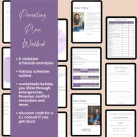 Parenting Plan Workbook – Image 2
