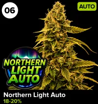 Northern Light Auto – Image 1