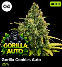 Gorilla Cookies Auto – Image 1