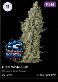Great White Kush – Image 1