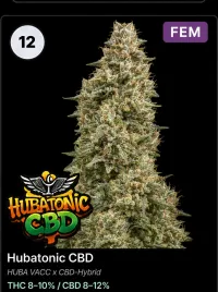 Hubatonic CBD – Image 1