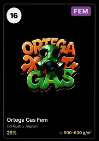 Ortega Gas Fem – Image 1