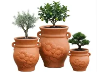  Natural Amphora-- with flowers  – Image 2
