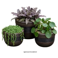 ECLECTIC GARDEN – Image 4