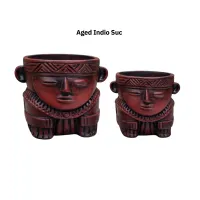 Aged Indio Succulent – Image 1