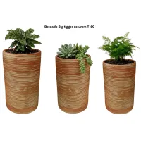 Beteado Big Tiger Column  – Image 1