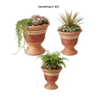 Carved Cup Collection  – Image 1