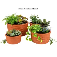Natural Round Bonsai Basket  S/4 – Image 1