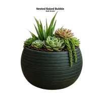 Suc Baked Nested Carved Bubble  S/3 – Image 3