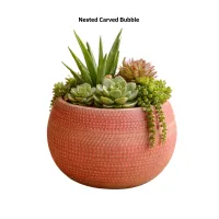 Suc Baked Nested Carved Bubble  S/3 – Image 2