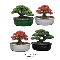 Bonsai Enameled Oval S/3 – Image 1