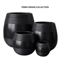 TERRA ORIGIN COLLECTION – Image 1