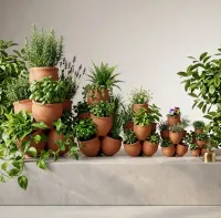Natural (7) Stacked Pots  – Image 4