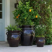  Aged Amphora Smooth – Image 1