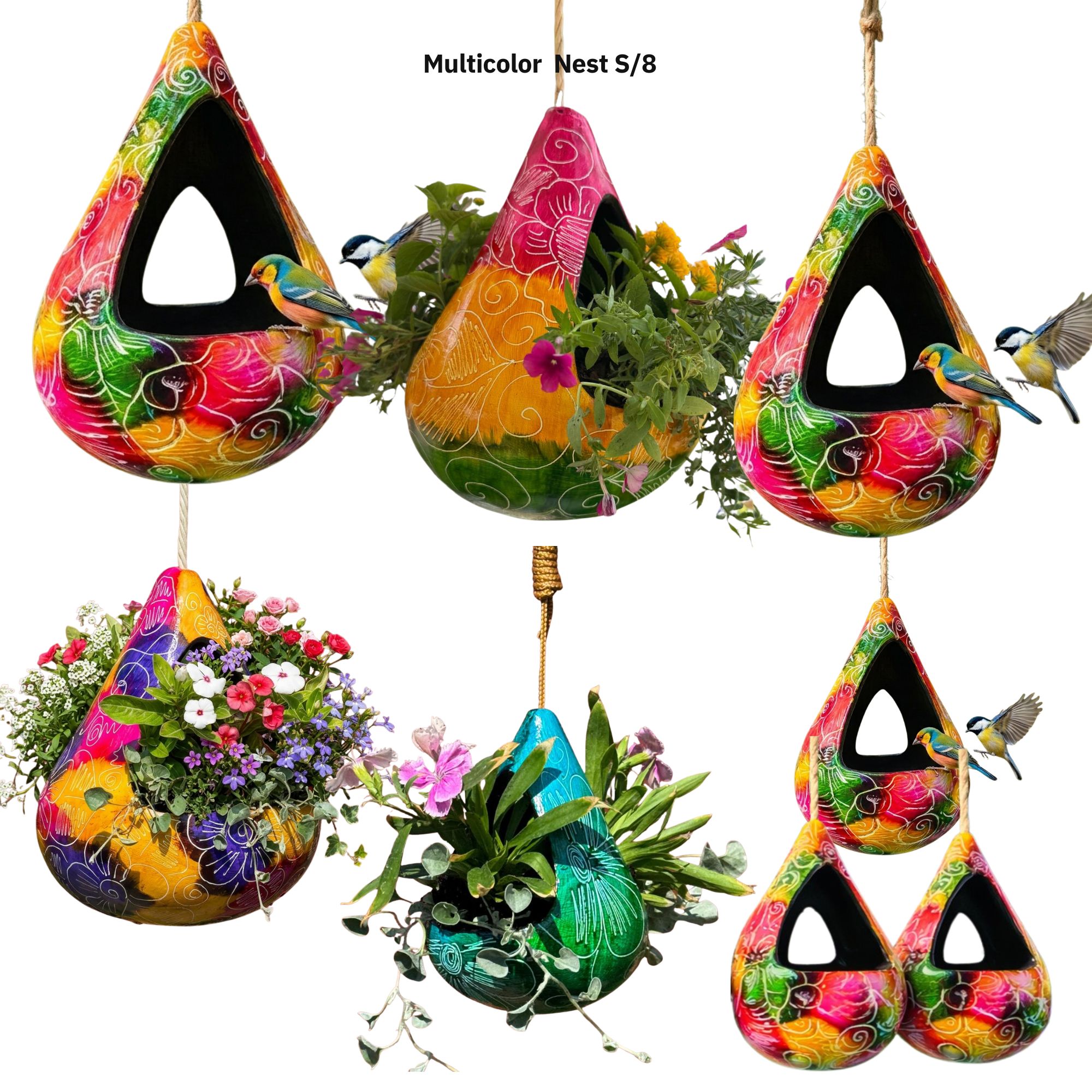 MC Nest S/8 – Imagen 4