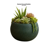 Suc Baked Nested Carved Bubble  S/3 – Green