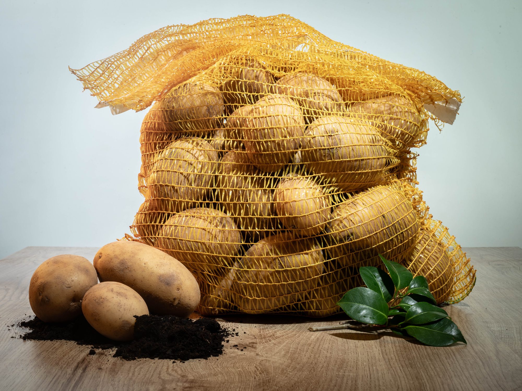 Patata Liseta (NUEVA) – No, 10 Kg