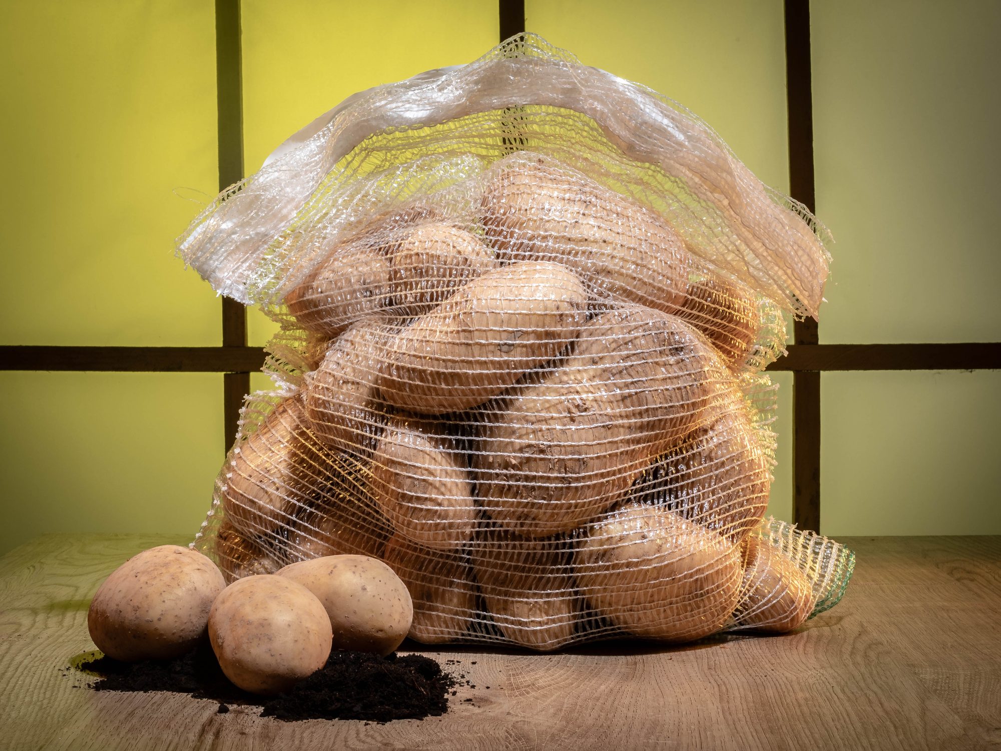 Patata Frisia (NUEVA) – 10 Kg, No