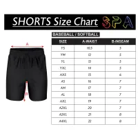 ASSL Team Shorts (Micro Mesh) – Big Ol Hitties, YM
