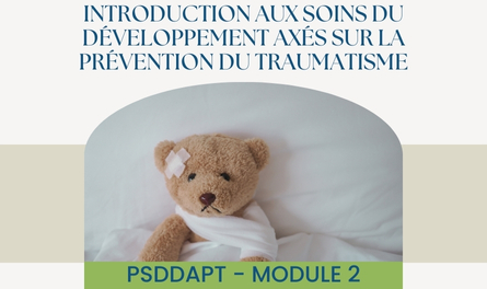 P.S.D.D.A.P.T.©: Module 2 - Introduction aux soins du développement axés sur la prévention du traumatisme – Image 1