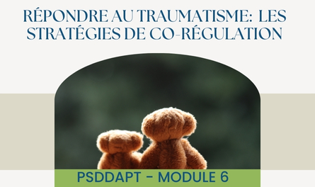 P.S.D.D.A.P.T.©: Module 6 - Répondre au traumatisme – Les stratégies de co-régulation – Image 1