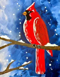 Winter Cardinal – Image 1