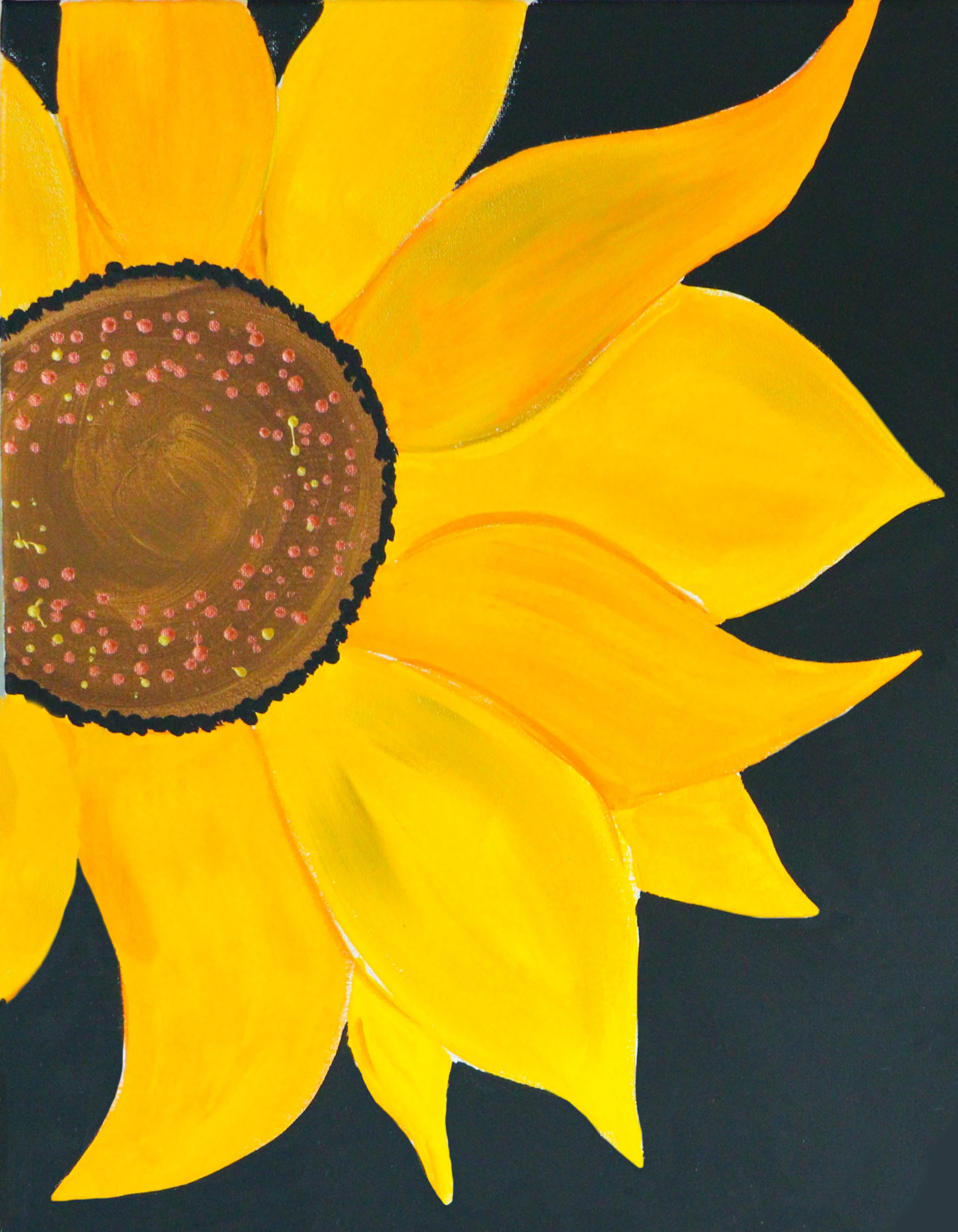 Sunflower – Image 1