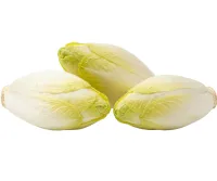 Fresh Australian Witlof White Leaf – Image 1