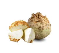 Fresh Australian Celeriac – Image 1