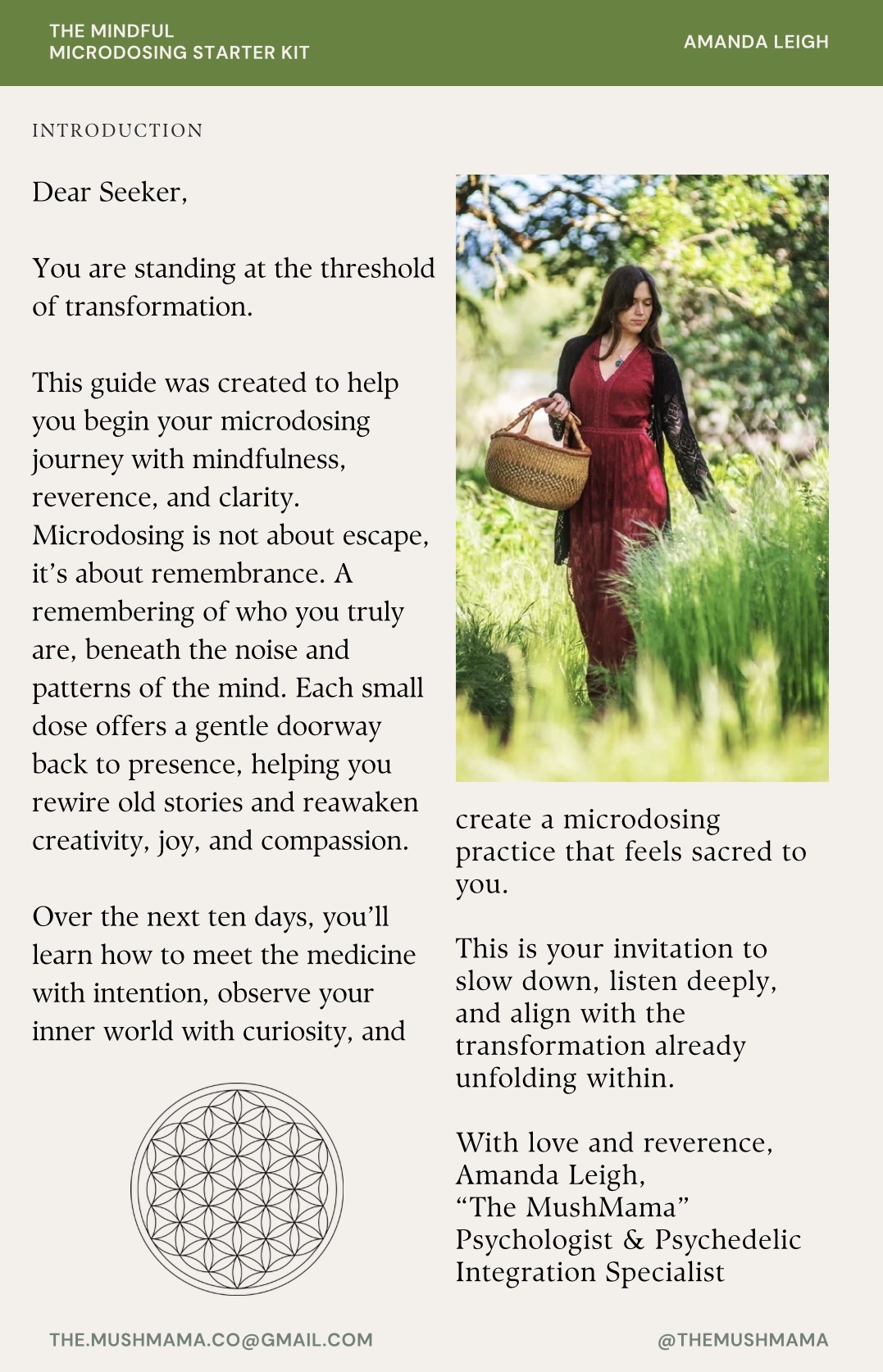 The Mindful Microdosing Starter Kit – Image 3