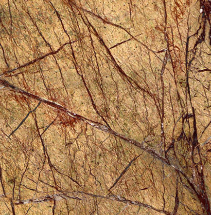 Rain Forest Brown – Image 1