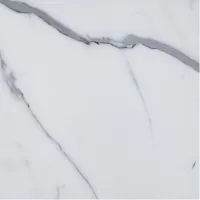 Calactta White – Image 1