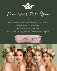 Woman of South Africa Collection: Limited Edition Women's Month Gift Box - PRE-ORDER UNTIL 30 JULY – Image 3