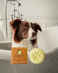 Pets Shampoo Bar -  5 Qty – Image 1