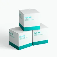 Full Kit (10 syringes, 10 swabs, One 10ml Bacteriostatic Water) – Image 1